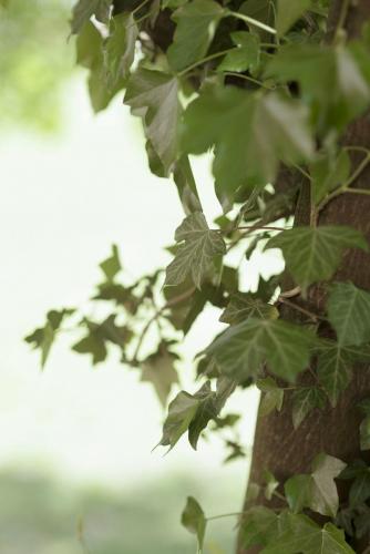 mm hochzeitsfotograf radek jurka 002